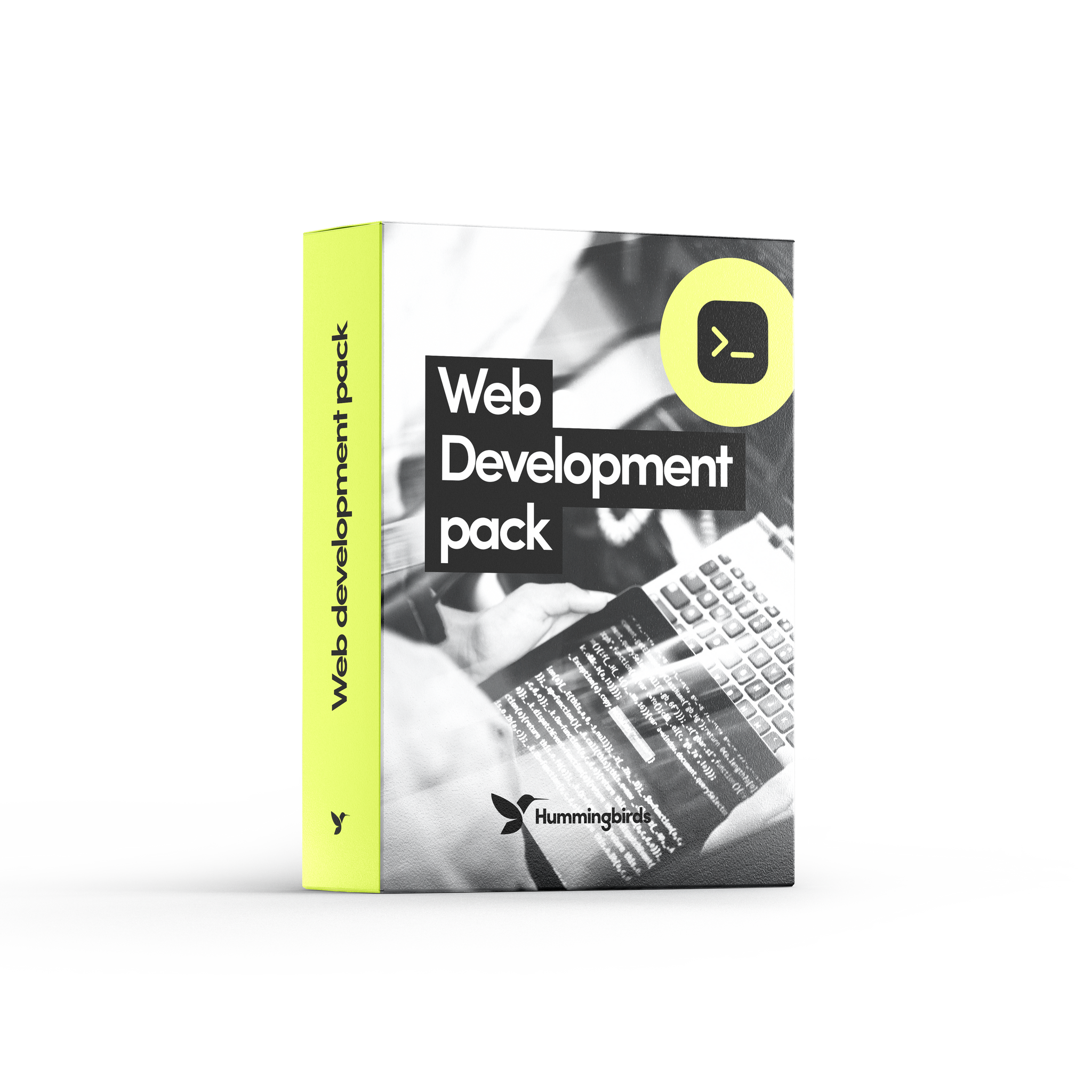 Web development